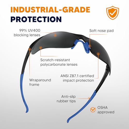Safety Glasses Tinted 12 Pack, Protective Eyewear for Men Women UV Protection ANSI Z87.1, Safety Sunglasses Bulk Scratch Impact Resistant Eye Protection with Nose Pads for Construction Work Smoke - color: Smoke Lens/Blue Temples, style: 12 Pack