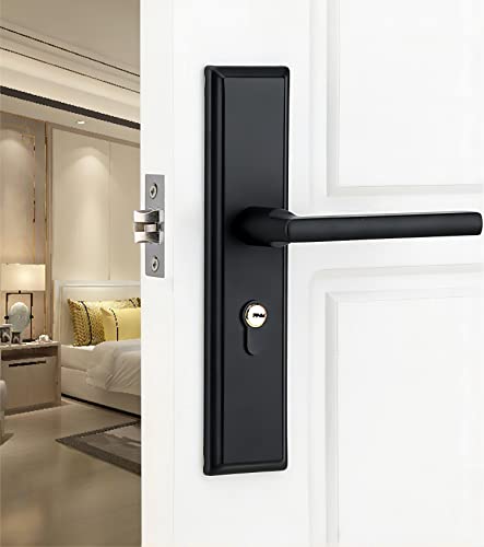 Qrity 60mm Tubular Latch, Forked Mortice Latch, Mute Door Sprung Latch, with Stainless Steel Panel for Internal Doors, Lever Door Handles - size: 60mm