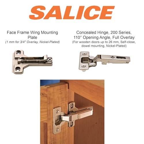 2 Salice European Face Frame Hinges #C2P6A with Face Frame Clip On Adapter Plates
