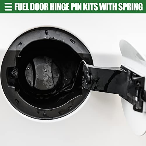 Motoforti Fuel Door Spring Hinge Pin Kits, Filler Neck Housing Cover Fix Pin, for Ford F-150 2009-2014, for Lincoln MKZ, for Mercury Milan, Stainless Steel, 4L3Z-9927936-BA, Black, 1 Set
