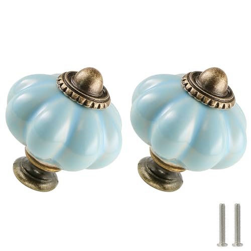 Light Blue Pumpkin Knobs 2 Pack Ceramic Cabinet Knobs Vintage Drawer Pulls - Antique Dresser Pulls with Screws for Closet Drawer Cupboard Cabinet and DIY Home Project - color: Light Blue