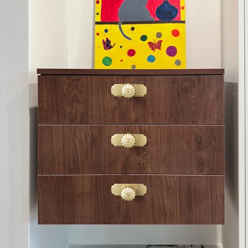 Brushed Brass Cabinet Knobs with Scalloped Backplate, Elegant Oversized Solid Zinc Alloy Drawer Knobs for Large Dresser, Heavy Duty Transitional Hardware, [Set of 6] - color: Brushed Brass, size: Oversized Knob
