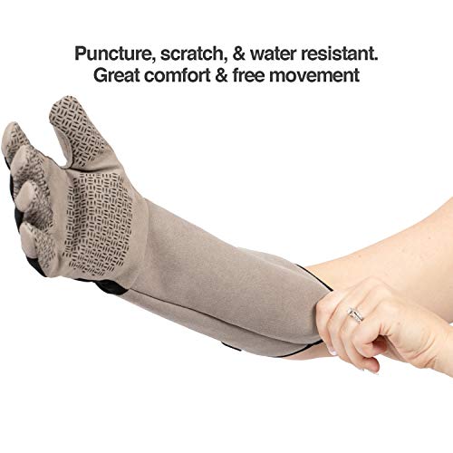PetFusion Multipurpose Pet Glove for Grooming, Trips to Vet, Handling. [Puncture & Scratch Resistant, Water Resistant]. 12 Month Warranty for Manufacturer Defects Grey - size: Small