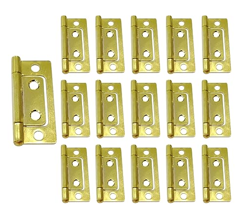 QCAA Durable Steel Non-Mortise Hinge, for Chest, Box, & Vintage Cabinet Furniture, 2" x 0.9", Brass, 16 Pack, Made in Taiwan - color: Brass Plated, size: 16 Pack (2" X 0.9")