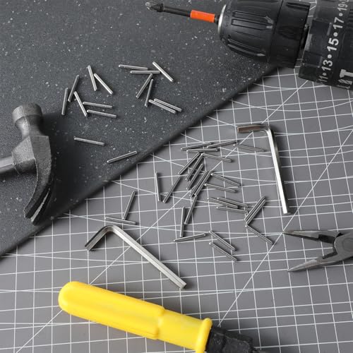 Spring Hinge Tension Pin Replacement Kit, 40 Pcs Stainless Steel Shelf Pins and 2 Pcs Hex Wrenches, Door Closing Hinge Pin, Metal Dowel Pegs Shelf Support Kit for Garage Doors, Self Closing Door