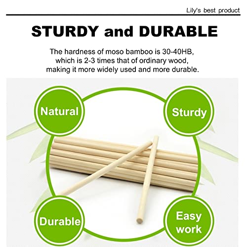 HOPELF 10PCS Dowel Rods Wood Sticks Wooden Dowel Rods - 3/8 x 17.5 Inch Bamboo Sticks - for Crafts，Hardwood Dowel Rod Assortment，Wooden Rod Sticks Doweling Rods， DIYers. - size: 3/8" x 17.5"