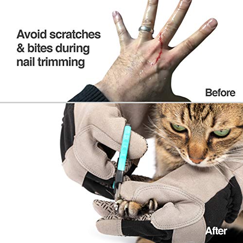 PetFusion Multipurpose Pet Grooming Gloves Great for Trips to Vet and Bathing, Puncture, Scratch & Water Resistant - size: Large