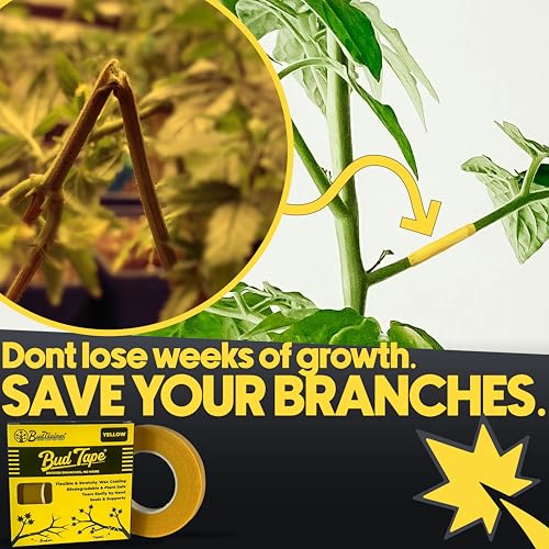 BudTape (90 ft) | Branch Repair Grafting Tape & Gardening Tape | Fix 300+ Broken Stems, Reinforce Weak Branches | Self-Adhering, Flexible, Water-Resistant