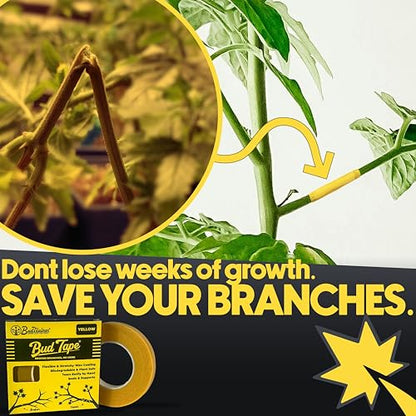 BudTape (90 ft) | Branch Repair Grafting Tape & Gardening Tape | Fix 300+ Broken Stems, Reinforce Weak Branches | Self-Adhering, Flexible, Water-Resistant