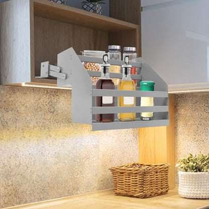 Pull-Down Spice Rack for Upper Cabinets - Heavy Duty 2-Tier Kitchen Cabinet Organizer with 22.05lbs Capacity, Space-Saving Retractable Shelf, Fits 4.72x11.81in Bottle, 15.55x11.42x11.42in