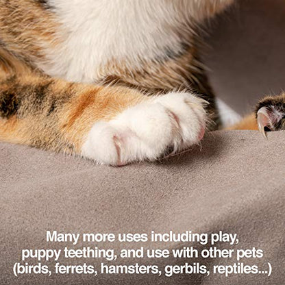 PetFusion Multipurpose Pet Glove for Grooming, Trips to Vet, Handling. [Puncture & Scratch Resistant, Water Resistant]. 12 Month Warranty for Manufacturer Defects Grey - size: Small
