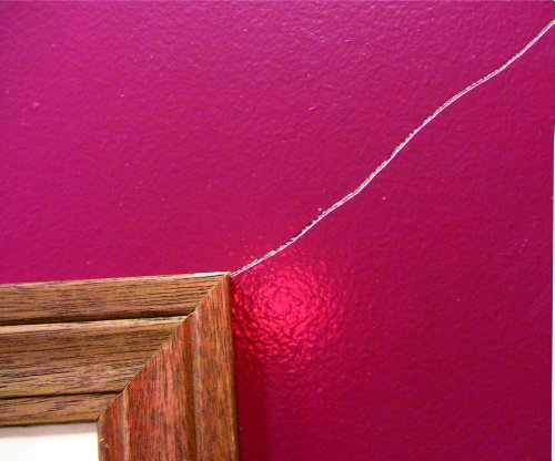 Stepsaver Products Self Adhesive Stress Crack Tape (1.25'' x 100' Smooth Roll) Item 7100 - size: 100' X 1.25" Smooth