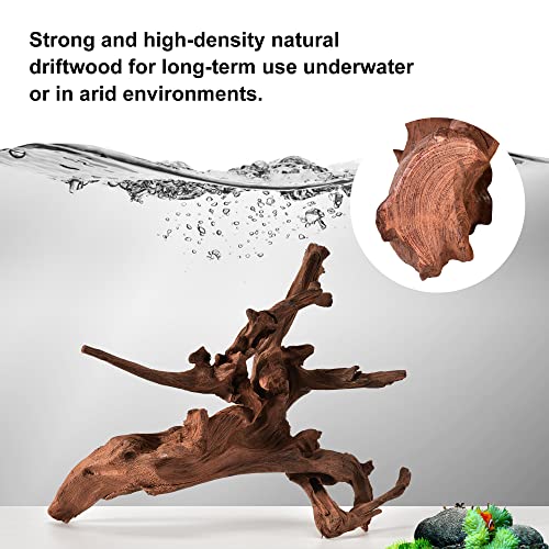 majoywoo Natural Large Driftwood for Aquarium Decor Reptile Decor, Fewer Branches 12.5-18" 2Pcs - size: Mopani Driftwood 12.5 to 18 Inch (Pack of 2)