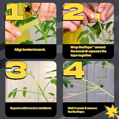 BudTape (90 ft) | Branch Repair Grafting Tape & Gardening Tape | Fix 300+ Broken Stems, Reinforce Weak Branches | Self-Adhering, Flexible, Water-Resistant