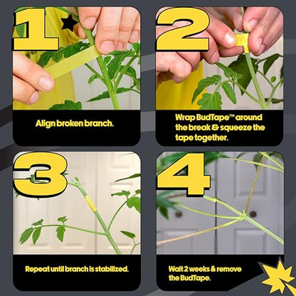 BudTape (90 ft) | Branch Repair Grafting Tape & Gardening Tape | Fix 300+ Broken Stems, Reinforce Weak Branches | Self-Adhering, Flexible, Water-Resistant