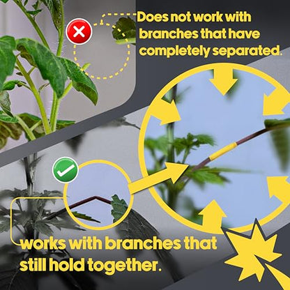 BudTape (90 ft) | Branch Repair Grafting Tape & Gardening Tape | Fix 300+ Broken Stems, Reinforce Weak Branches | Self-Adhering, Flexible, Water-Resistant