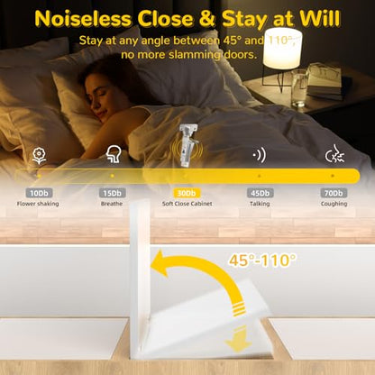 Onemake 4 Pack 110° Face Frame Inset Cabinet Hinges, Soft Closing 3D Adjustment, Clip On Plate, Smooth Slow Close Concealed Hidden Replacement, Easy Installation, Insert Hardware for Kitchen Cupborad