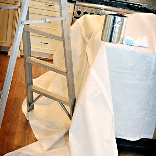 Trimaco 2602 Double Guard Super Tuff 2-Layer Drop Cloth, 4-feet x 10-feet, Whites - size: 4-feet x 10-feet