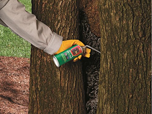 GREAT STUFF Pond & Stone Gap Filler | Insulating Foam Sealant, 12 oz. Can – Black - size: Each, style: Pond & Stone