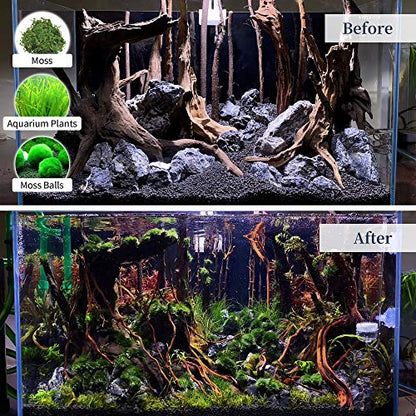 majoywoo Natural Large Driftwood for Aquarium Decor Reptile Decor, Fewer Branches 12.5-18" 2Pcs - size: Mopani Driftwood 12.5 to 18 Inch (Pack of 2)