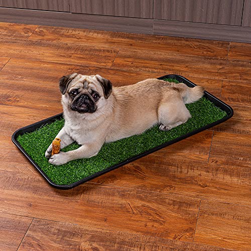All Weather Boot Tray, 2 Pack Water Resistant Plastic, Multi-Purpose for Shoes, Pet Feeding Trays, Garden-Mudroom Entryway, Garage, Indoor or Outdoor - Medium, 24"x16" - (Black) - style: 2 pack - 24 x 16